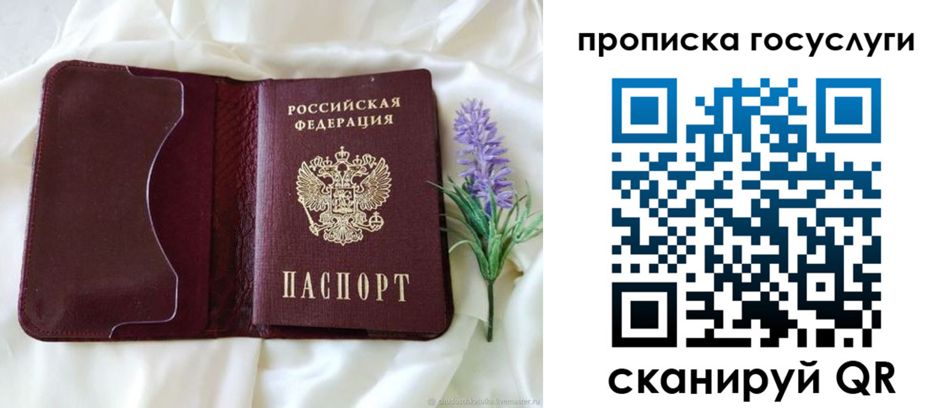 форма 3 в Новгородской области