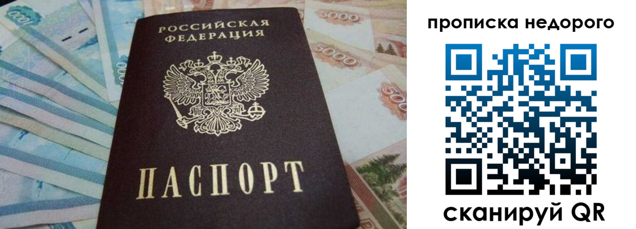 временная регистрация поиск в Новгородской области