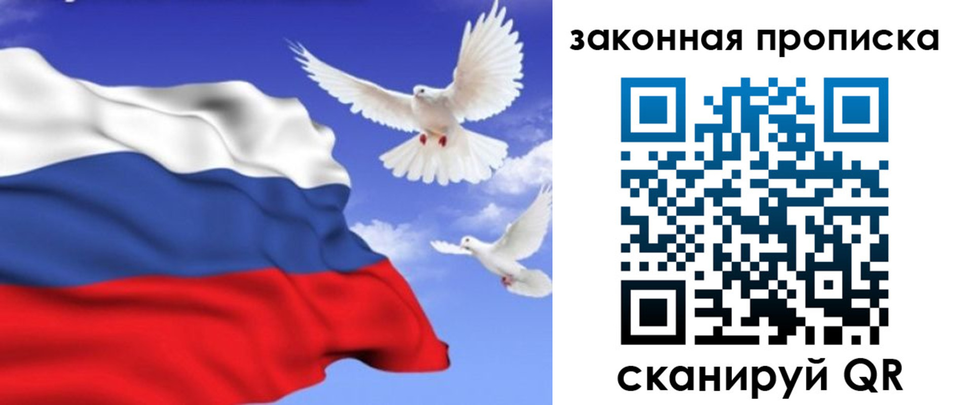 регистрация в Новгородской области
