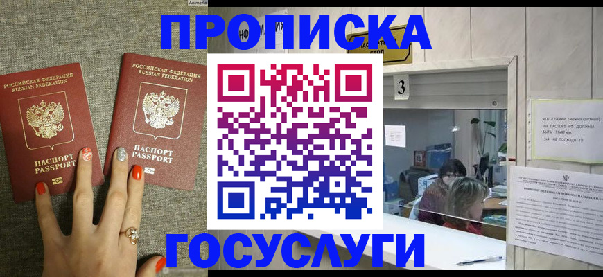 временная прописка в Новгородской области